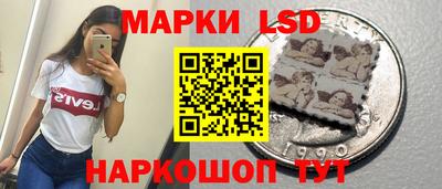 крисы Малгобек