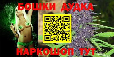 крисы Малгобек