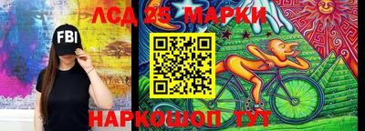 крисы Малгобек