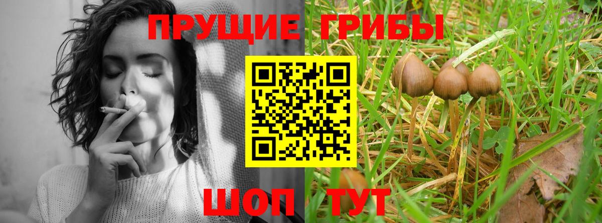 Бугуруслан  Псилоцибиновые грибы Psilocybine cubensis  Вход с VPN 