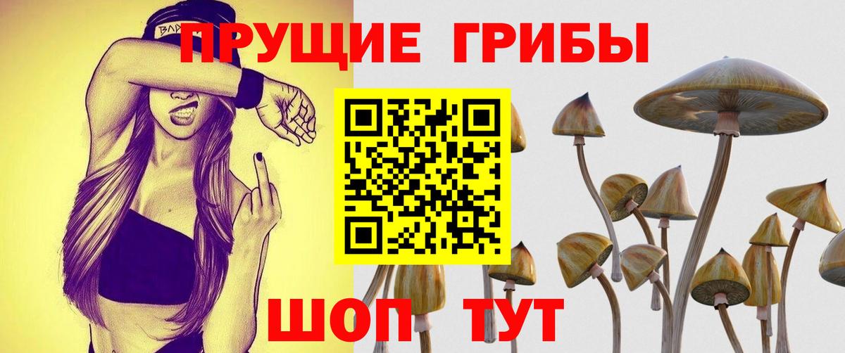 Галлюциногенные грибы Cubensis Бугуруслан